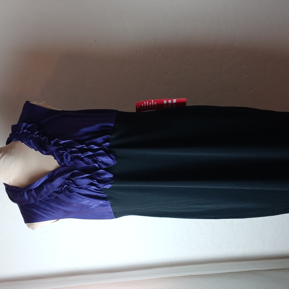 NWOT En Focus Petite Dress
